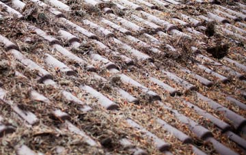 Kingswood Common roof cleaning companies